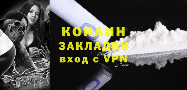 индика Березники